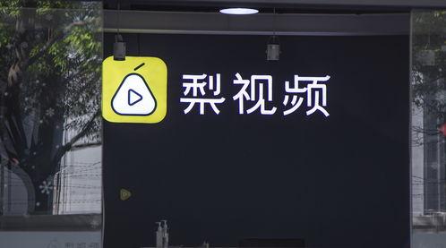 梨视频深圳爆料电话,揭露城市角落的秘密与真相” 第3张 梨视频深圳爆料电话,揭露城市角落的秘密与真相” 第3张