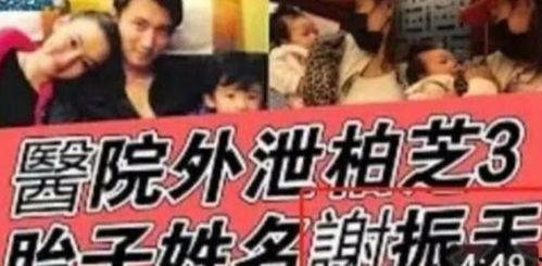 三胎吃瓜娱乐圈,明星家庭新篇章 第2张 三胎吃瓜娱乐圈,明星家庭新篇章 第2张