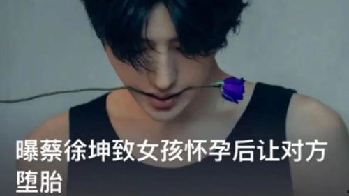 蔡徐坤妈妈录音爆料视频,揭秘明星背后的家庭故事  第3张