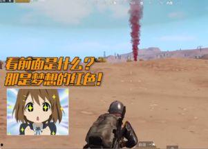 和平精英搞笑视频爆料,笑料百出,玩家爆笑瞬间大盘点 第2张 和平精英搞笑视频爆料,笑料百出,玩家爆笑瞬间大盘点 第2张