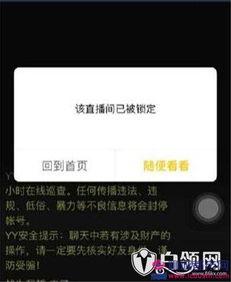 利哥爆料小白龙视频大全,小白龙视频大全背后的精彩故事