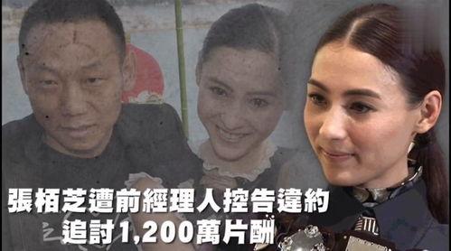 吃瓜娱乐官,吃瓜官带你探秘明星生活