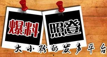 媒体大爆料新闻,独家爆料震惊业界，真相即将浮出水面